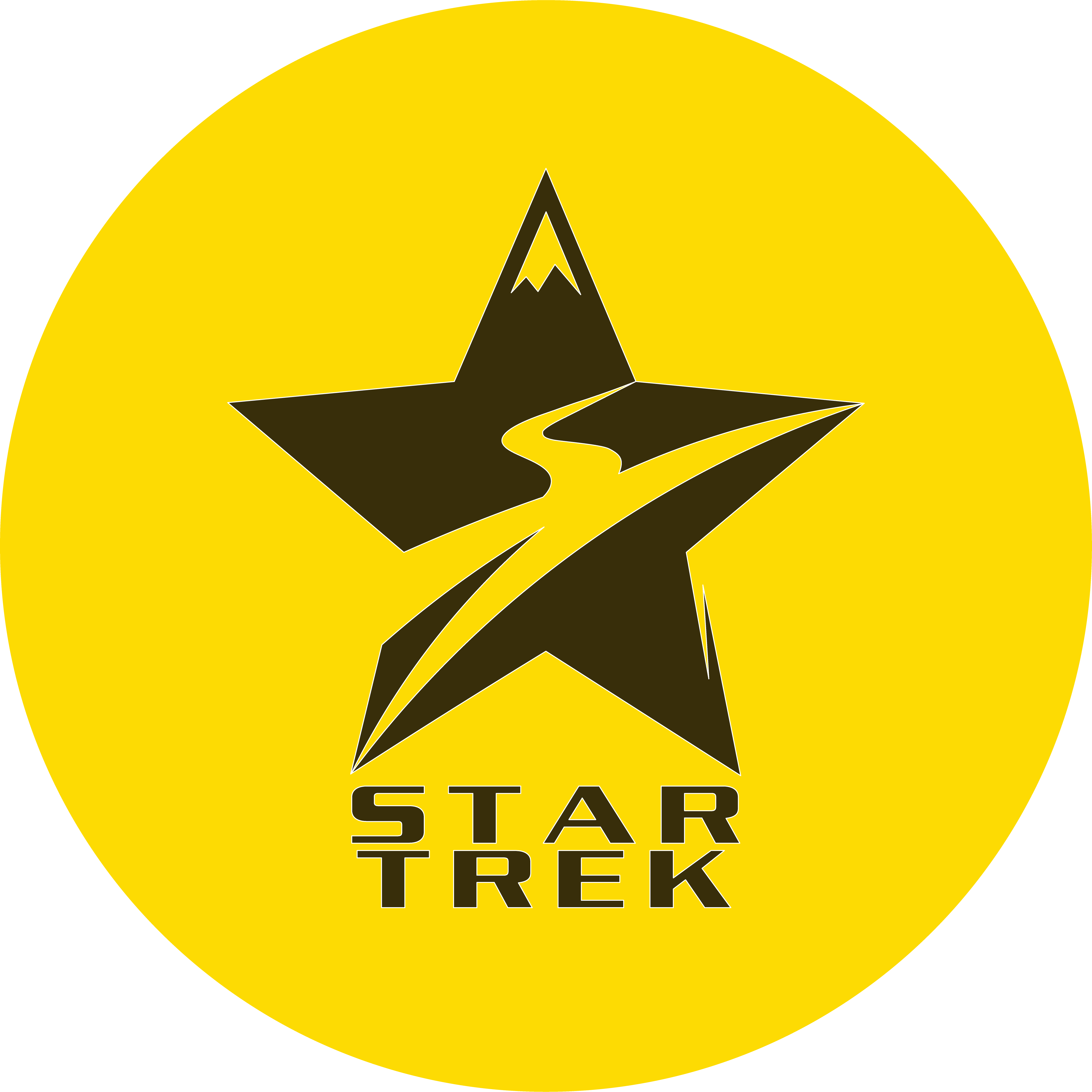 Star Trek logo